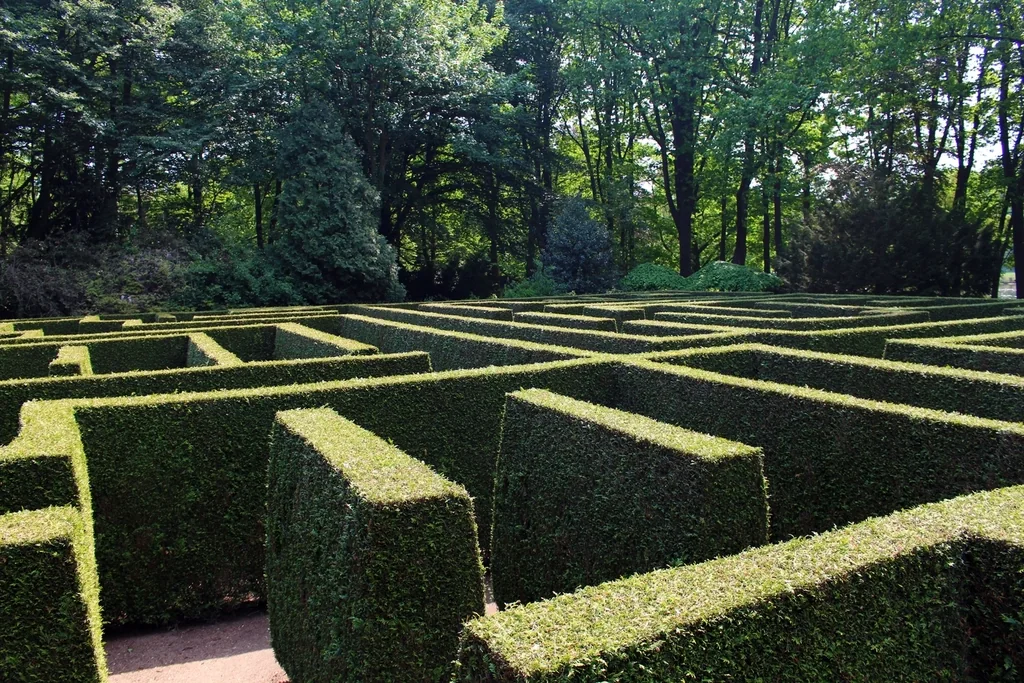 A hedge maze seen from above, most of its corridors unwalked