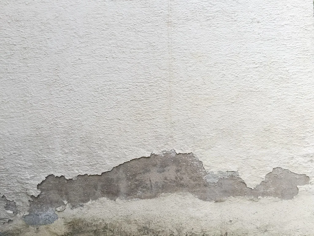 A plastered wall with its surface cracked and broken away